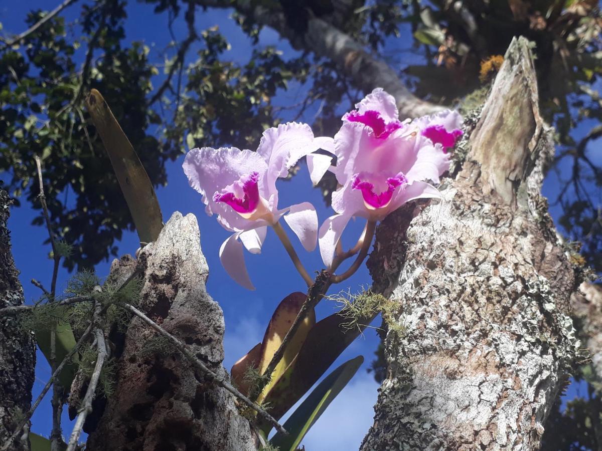 מלון San Agustín Casa Pampa מראה חיצוני תמונה